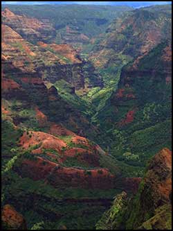 Waimea Canyon