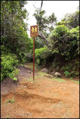 Kaluapuhi Trail